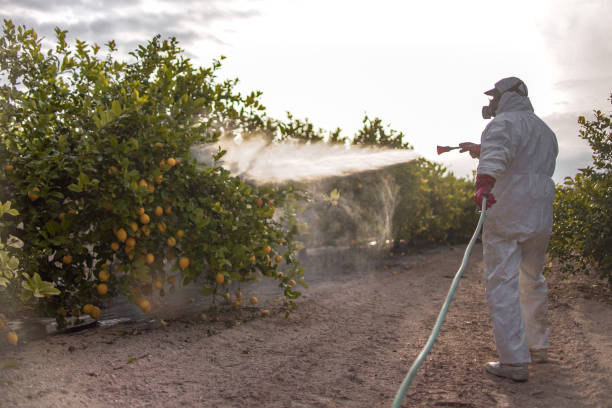 Best Bed Bug Extermination  in Schuyler, NE