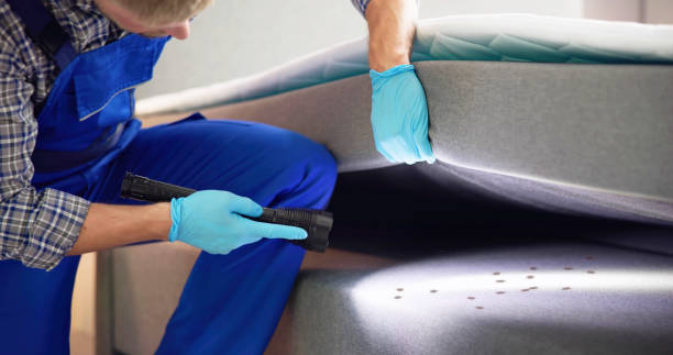 Best Residential Pest Control  in Schuyler, NE
