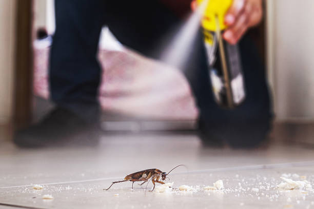 Pest Prevention Services in Schuyler, NE