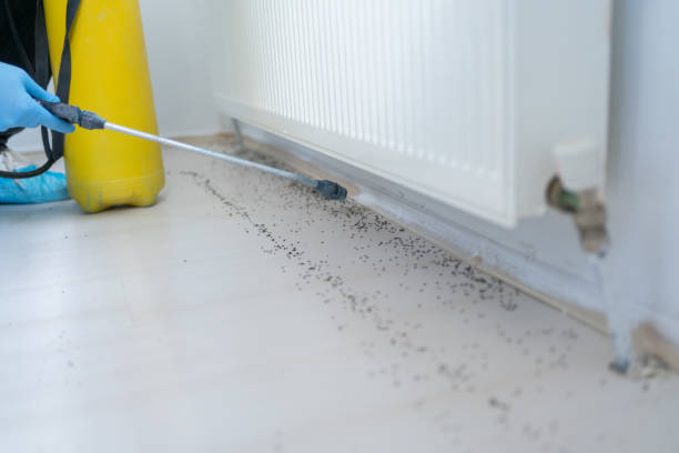 Best Pest Inspection Near Me  in Schuyler, NE