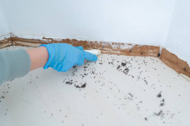 Best Best Pest Control Companies  in Schuyler, NE