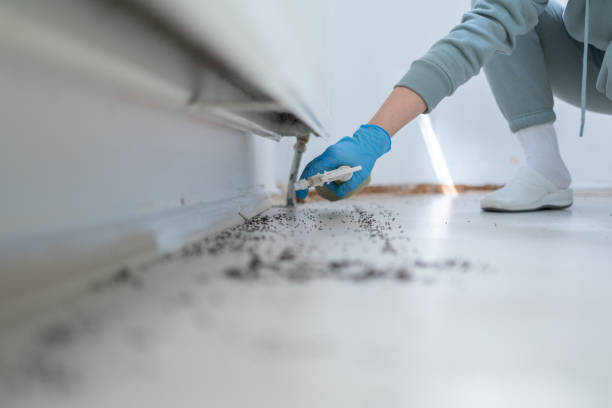 Wasp Removal Services in Schuyler, NE