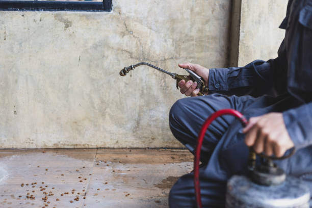 Best Mosquito Control Services  in Schuyler, NE